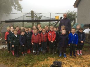 P2 Visit Chickens